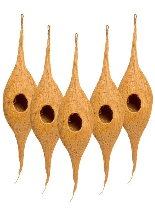DealFry Handmade Hanging Bird Nest with Single Hole Made of Natural Coir Fiber Coconut Shell, Hanging Bird Nest for Cage and Balcony Birds Sparrows Finches Breeding (Brown | Small) - (Set-5) - Image 1